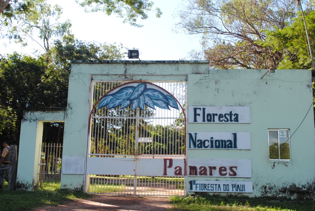 Floresta Nacional dos Palmares na BR-343, em Altos, recebe apenas mil visitantes por ano